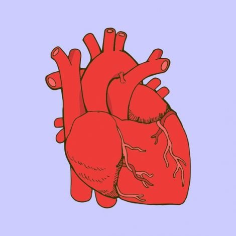 Congestive Heart Success – Alternative Thinking to Congestive Heart Failure