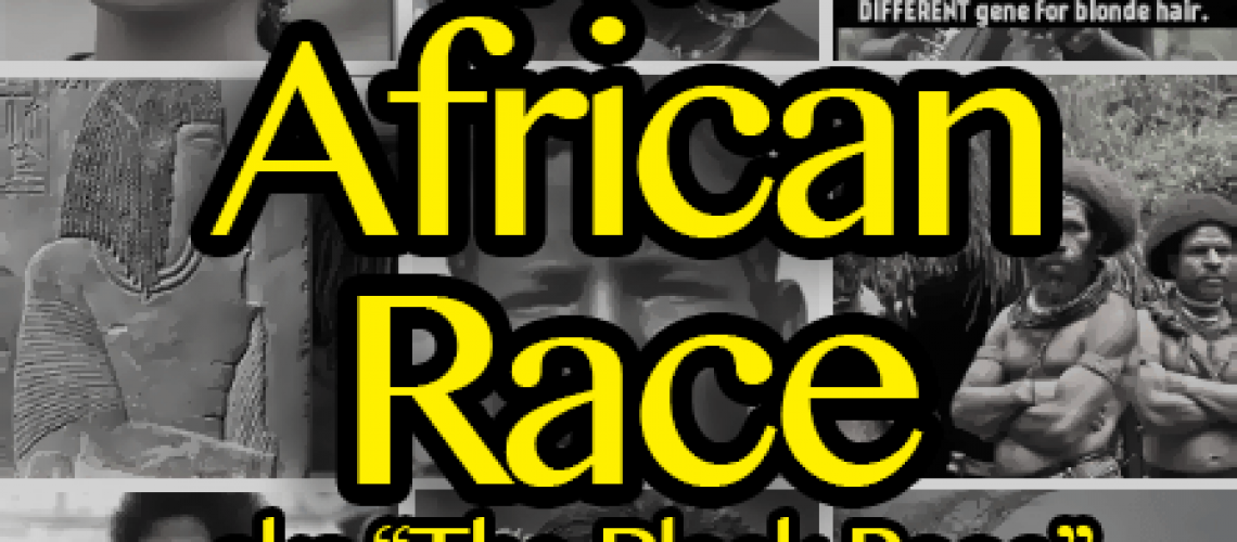 the african race